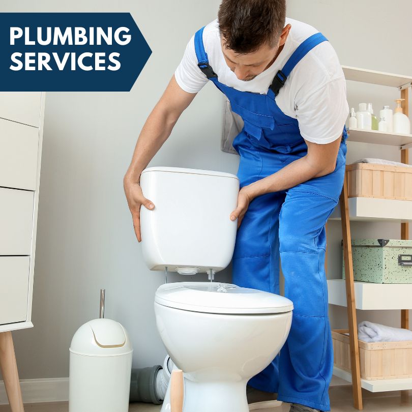 Plumbing Company in Thompson, IA